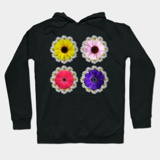 floral gerbera sunflowers blooming daisy flower blossoms Hoodie